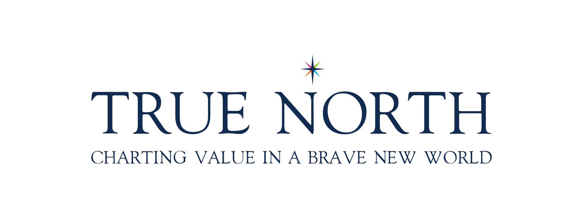 True North event logo in navy with a multicoloured compass star and the tagline Charting Value in a Brave New World.